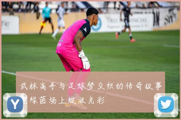 武林高手与足球梦交织的传奇故事在绿茵场上绽放光彩