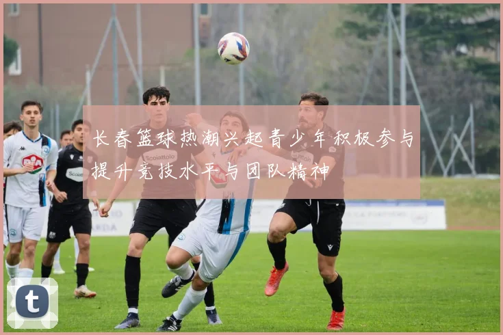 长春篮球热潮兴起青少年积极参与提升竞技水平与团队精神